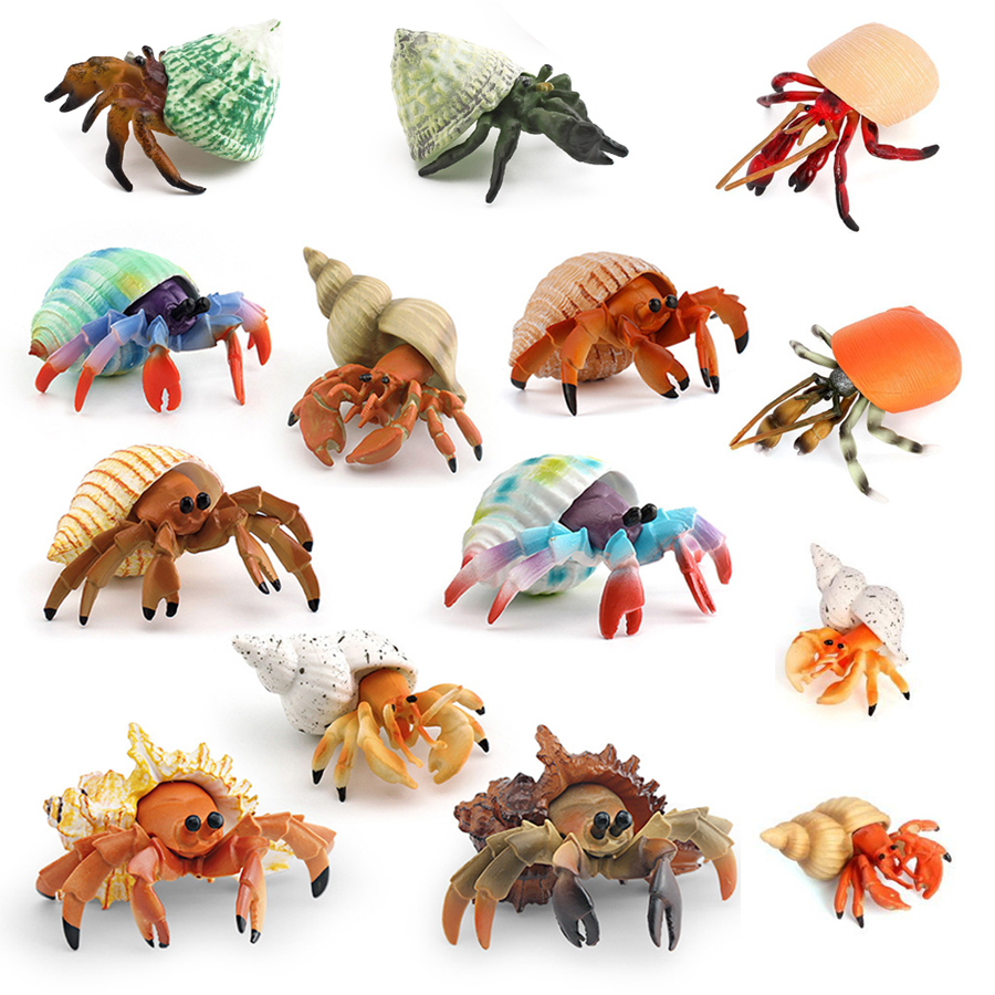 Kids Toys Under 1 Year - รูปปั้นปูเสฉวนสมจริง ทนทาน ทำจาก PVC ของเล่นจำลองสัตว์ทะเล ของเล่นเสริมพัฒนาการสำหรับเด็ก