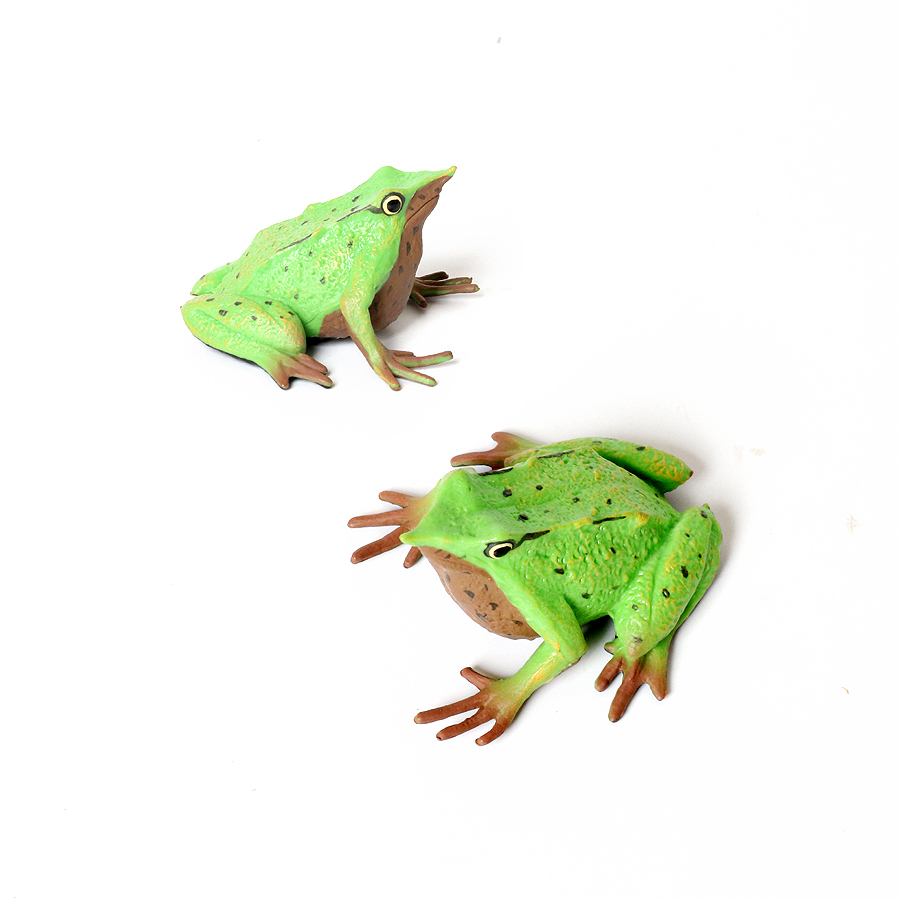 Rainforest สัตว์กบตุ๊กตาต้นไม้ - Kids Toys Under 1 Year บทวิจารณ์และราคา