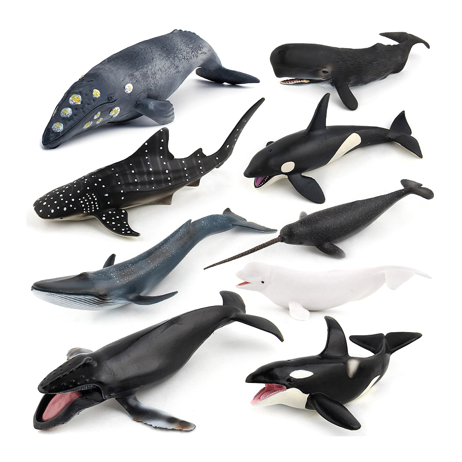 โมเดลสัตว์ทะเลจำลอง วาฬหลังโค้ - Kids Toys Under 1 Year บทวิจารณ์และราคา